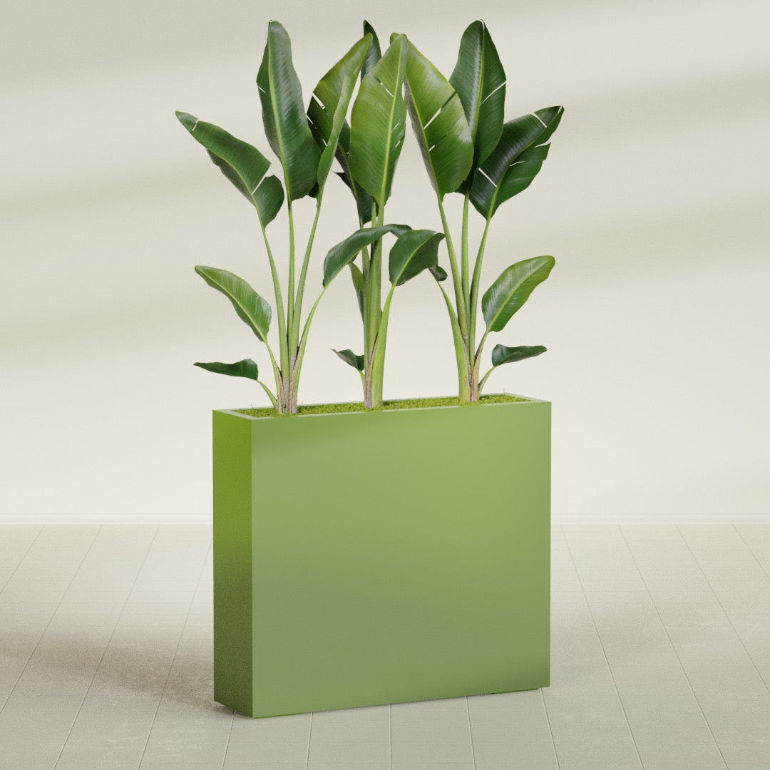 Amesbury Narrow Rectangular fiberglass planter in Satin Green, shown planted, in a sunlit interior