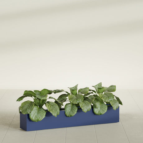 Salon Box fiberglass planter in Matte Cobalt Blue, shown planted, in a sunlit interior