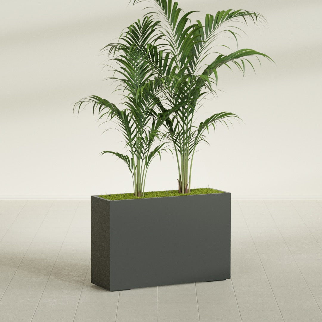 Potsdam Corner fiberglass planter in Matte Charcoal, shown planted, in a sunlit interior