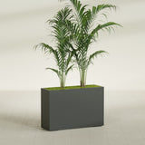 Potsdam Corner fiberglass planter in Matte Charcoal, shown planted, in a sunlit interior