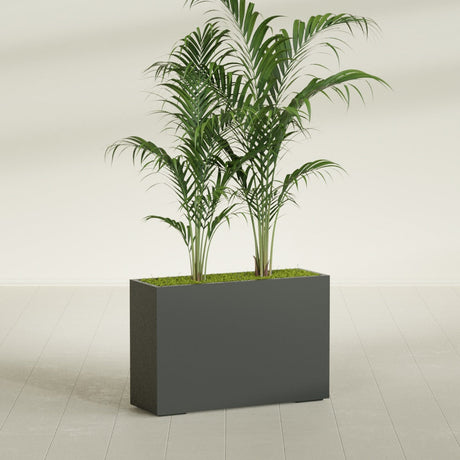 Potsdam Corner fiberglass planter in Matte Charcoal, shown planted, in a sunlit interior