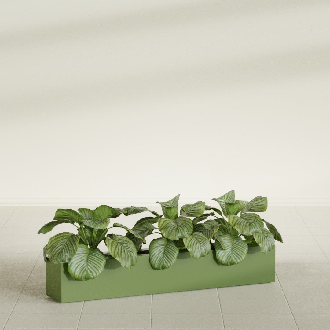 Salon Box fiberglass planter in Satin Green, shown planted, in a sunlit interior