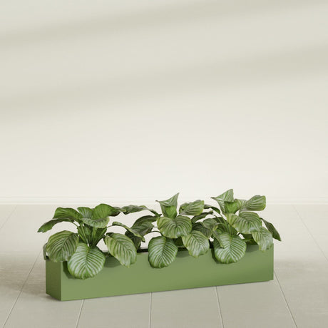 Salon Box fiberglass planter in Satin Green, shown planted, in a sunlit interior