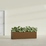 Hudson Extra Long fiberglass planter in Metallic Bronze, shown planted, in a sunlit interior