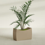 Seoul Curved fiberglass planter in Gloss Metallic Gold, shown planted, in a sunlit interior