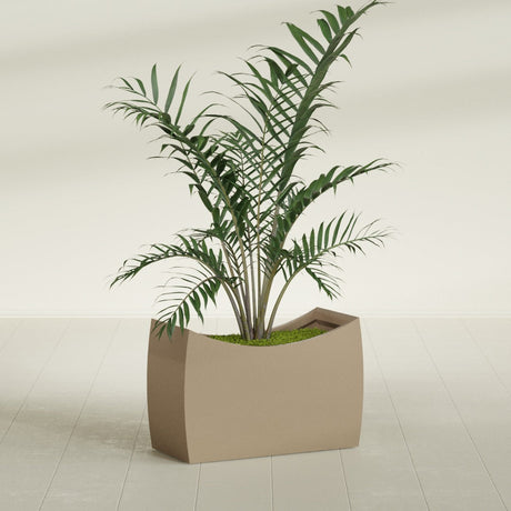 Seoul Curved fiberglass planter in Gloss Metallic Gold, shown planted, in a sunlit interior