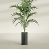 Corry Cylinder fiberglass planter in Matte Charcoal, shown planted, in a sunlit interior