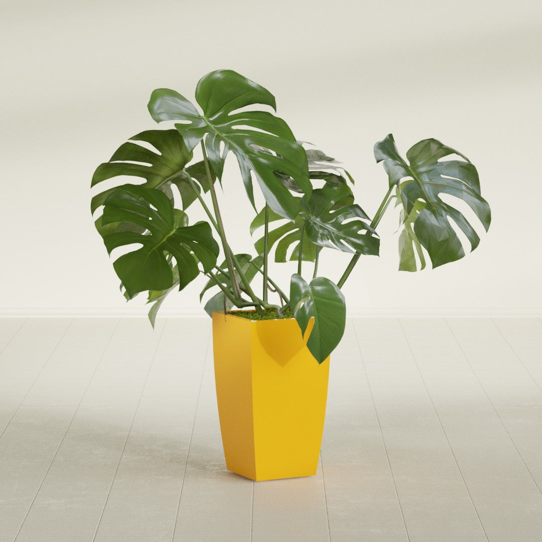 Toulan Tapered Square fiberglass planter in Gloss Saffron, shown planted, in a sunlit interior
