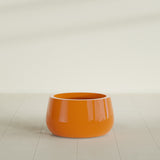Short Hayden Bowl Planter in Gloss Tangerine, 16"D × 8"H, shown empty