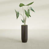 Saint Tropez Bullet Round fiberglass planter in Matte Dark Brown, shown planted, in a sunlit interior