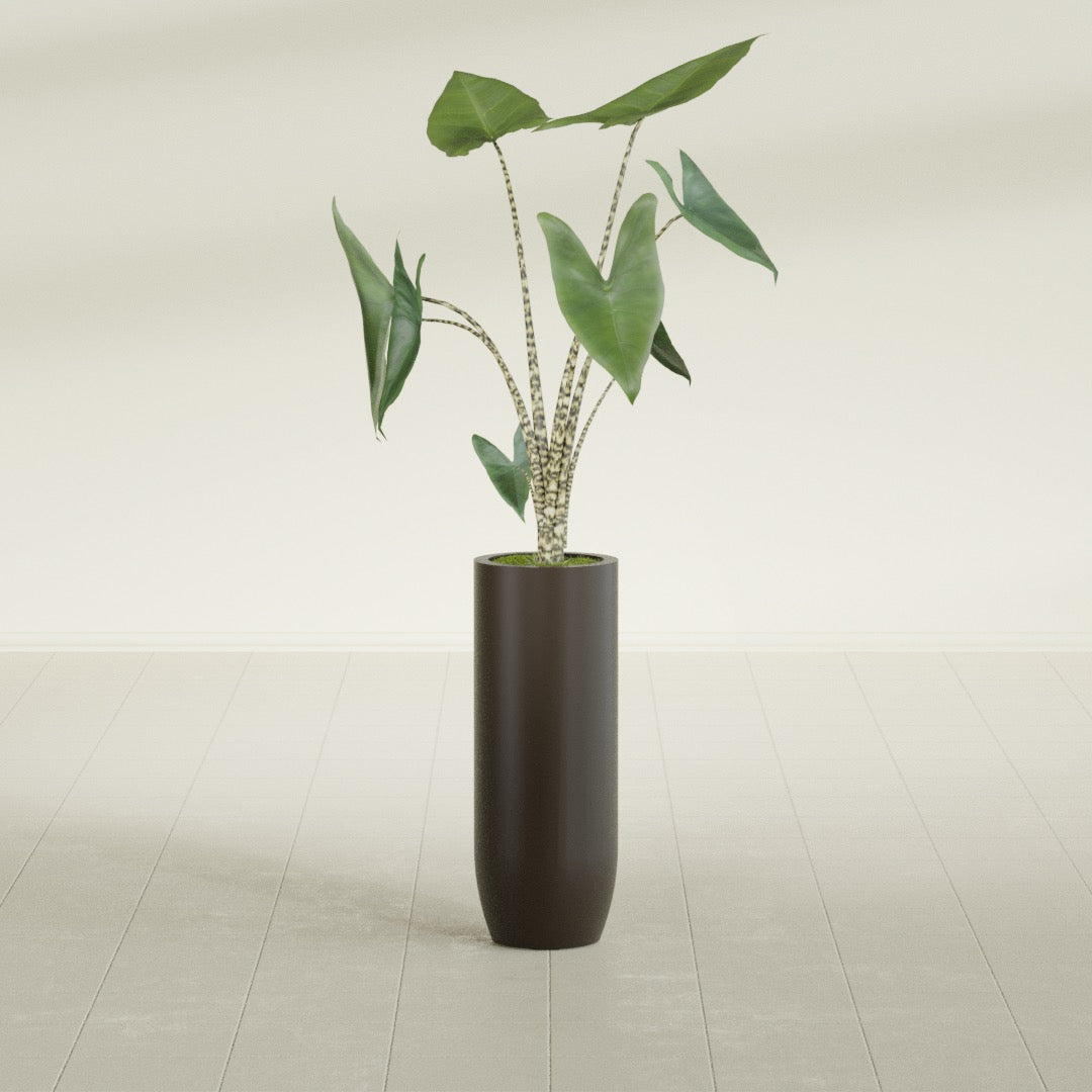 Saint Tropez Bullet Round fiberglass planter in Matte Dark Brown, shown planted, in a sunlit interior