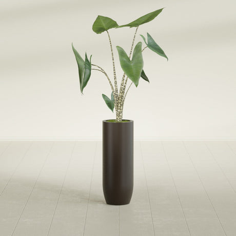 Saint Tropez Bullet Round fiberglass planter in Matte Dark Brown, shown planted, in a sunlit interior