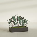 Antwerp Rectangular fiberglass planter in Matte Dark Brown, shown planted, in a sunlit interior