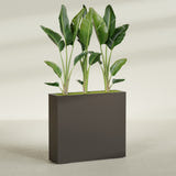 Amesbury Narrow Rectangular fiberglass planter in Matte Dark Brown, shown planted, in a sunlit interior