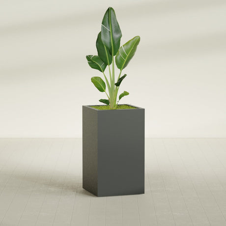 Darwin Corner fiberglass planter in Matte Charcoal, shown planted, in a sunlit interior