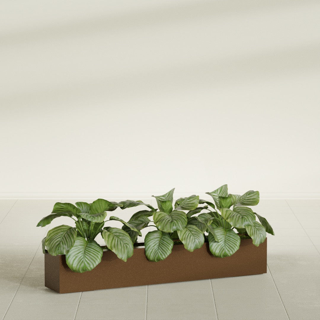 Salon Box fiberglass planter in Metallic Bronze, shown planted, in a sunlit interior