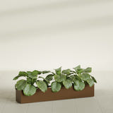 Salon Box fiberglass planter in Metallic Bronze, shown planted, in a sunlit interior