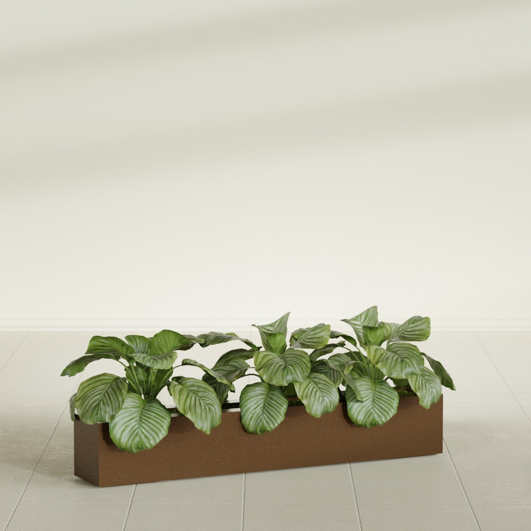 Salon Box fiberglass planter in Metallic Bronze, shown planted, in a sunlit interior