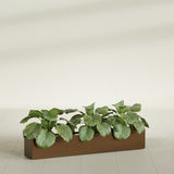 Salon Box fiberglass planter in Metallic Bronze, shown planted, in a sunlit interior