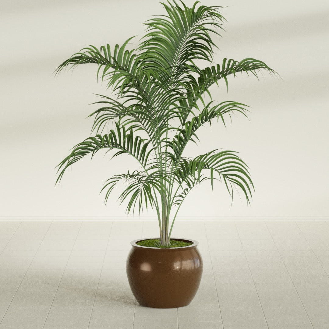 Shanghai Fishbowl fiberglass planter in Metallic Bronze, shown planted, in a sunlit interior