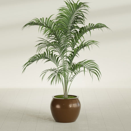 Shanghai Fishbowl fiberglass planter in Metallic Bronze, shown planted, in a sunlit interior