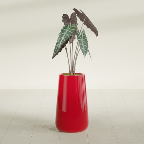 Saigon Tapered Round fiberglass planter in Gloss Red, shown planted, in a sunlit interior