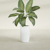 Lisbon Tall Round fiberglass planter in Matte Bright White, shown planted, in a sunlit interior