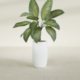 Lisbon Tall Round fiberglass planter in Matte Bright White, shown planted, in a sunlit interior