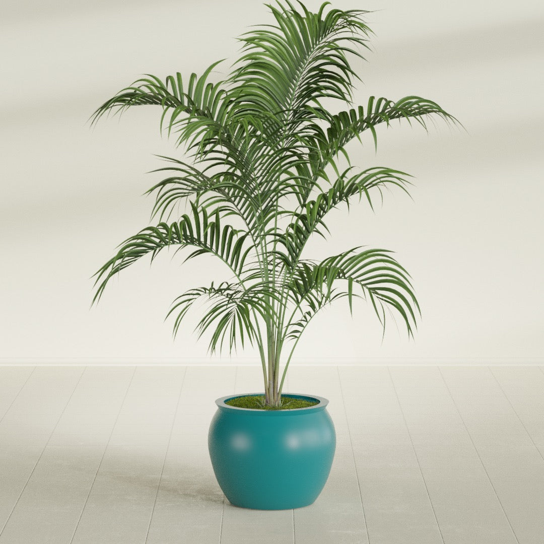 Shanghai Fishbowl fiberglass planter in Satin Seafoam Green, shown planted, in a sunlit interior