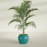 Shanghai Fishbowl fiberglass planter in Satin Seafoam Green, shown planted, in a sunlit interior