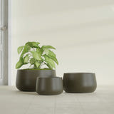 Short Hayden Bowl fiberglass planter in Matte Bronze, size range, in a sunlit interior