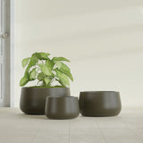 Short Hayden Bowl fiberglass planter in Matte Bronze, size range, in a sunlit interior