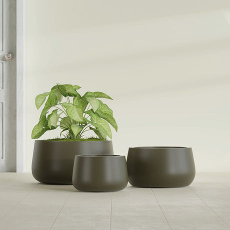 Short Hayden Bowl fiberglass planter in Matte Bronze, size range, in a sunlit interior