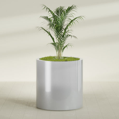 Rio Grande Cylinder fiberglass planter in Metallic Silver, planted, in a sunlit interior