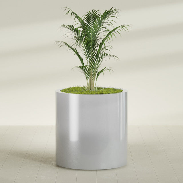 Rio Grande Cylinder fiberglass planter in Metallic Silver, planted, in a sunlit interior