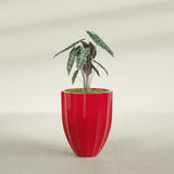 Alicante Fluted fiberglass planter in Gloss Red, planted, in a sunlit interior