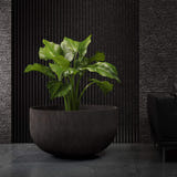 Roco low round Cosapots fiberglass planter, shown planted in an interior setting.