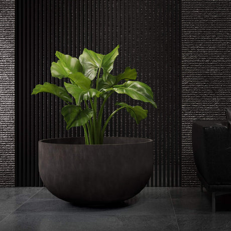 Roco low round Cosapots fiberglass planter, shown planted in an interior setting.