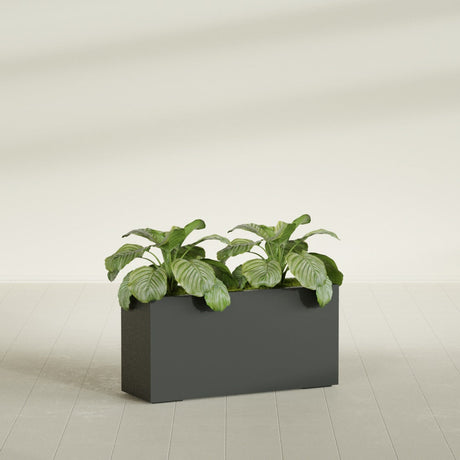 Miami Corner fiberglass planter in Matte Charcoal, shown planted, in a sunlit interior