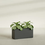 Miami Narrow Rectangular fiberglass planter in Matte Charcoal, shown planted, in a sunlit interior