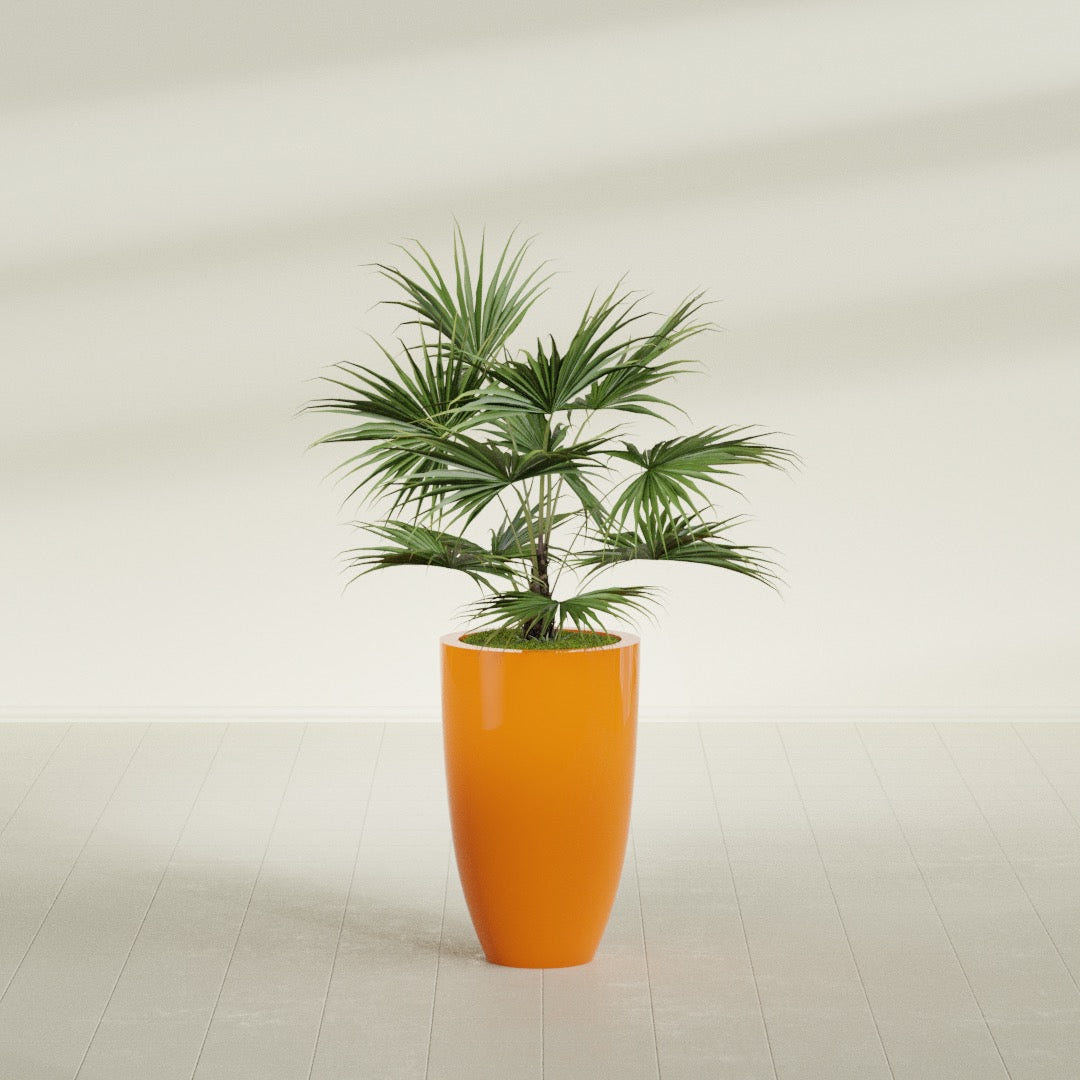 Brannan Tapered Round fiberglass planter in Gloss Tangerine, shown planted, in a sunlit interior
