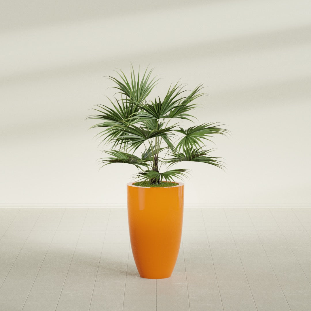 Brannan Tapered Round fiberglass planter in Gloss Tangerine, shown planted, in a sunlit interior