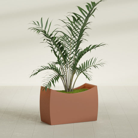 Seoul Curved fiberglass planter in Matte Terra Cotta, shown planted, in a sunlit interior