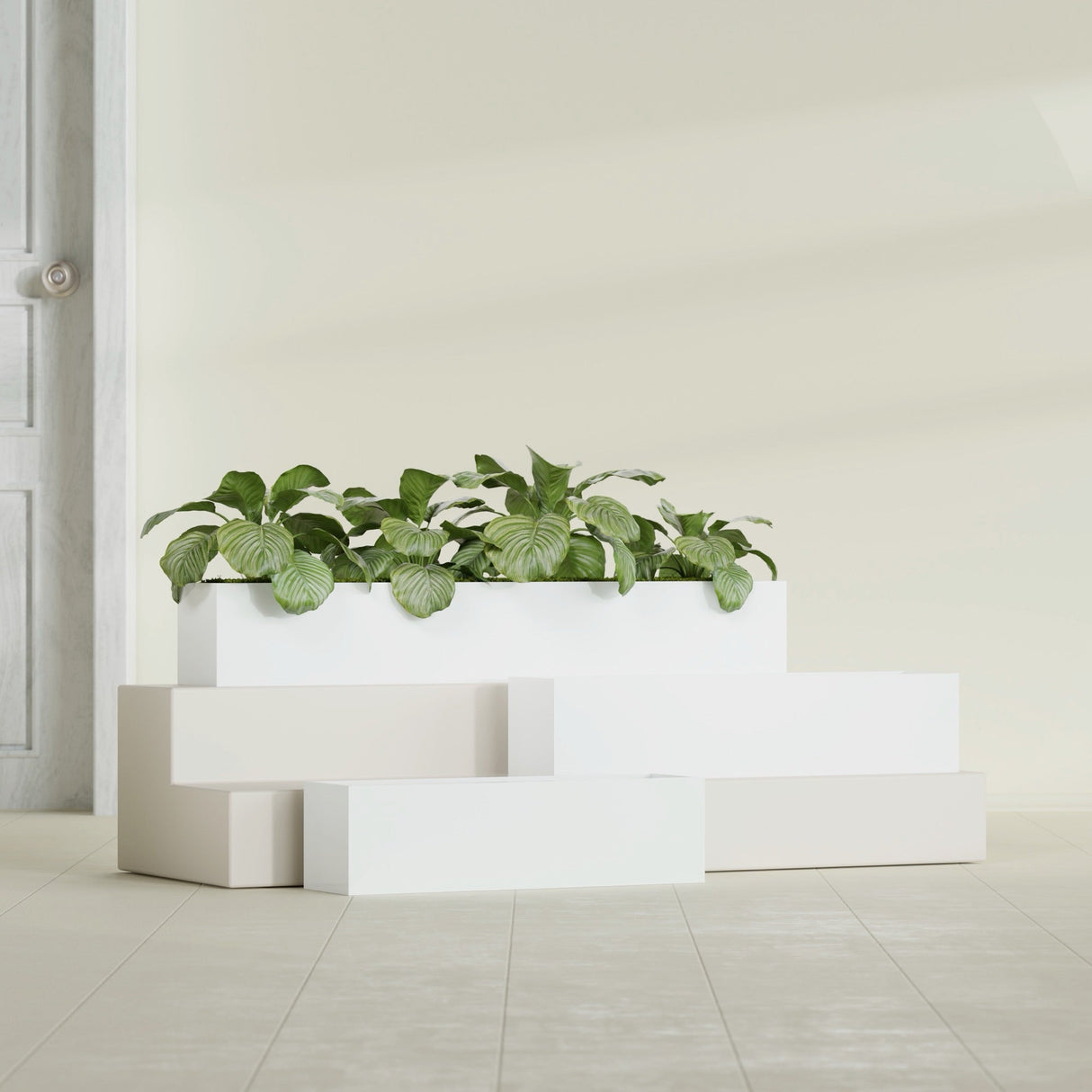 Monaco Rectangle fiberglass planter in Gloss Bright White, shown planted, in a sunlit interior