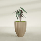 Alicante Fluted fiberglass planter in Gloss Metallic Gold, shown planted, in a sunlit interior