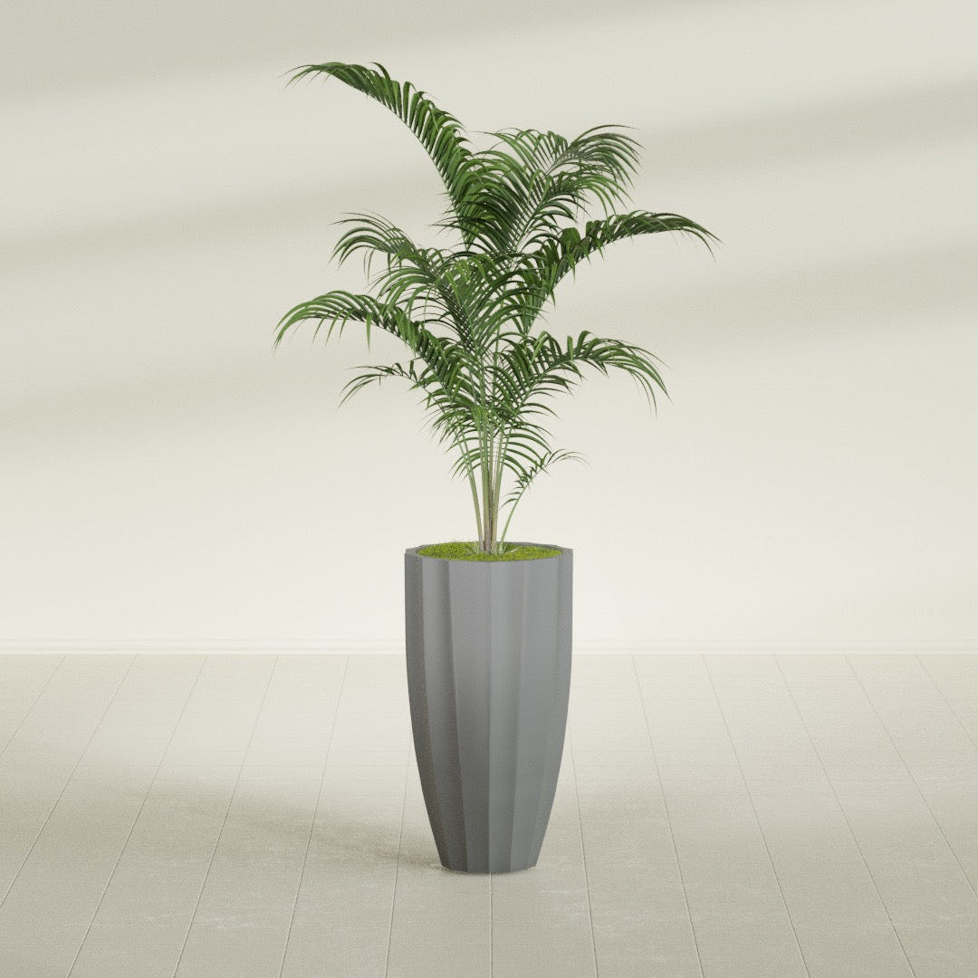 San Jose Tall Fluted fiberglass planter in Matte Gunmetal, shown planted, in a sunlit interior