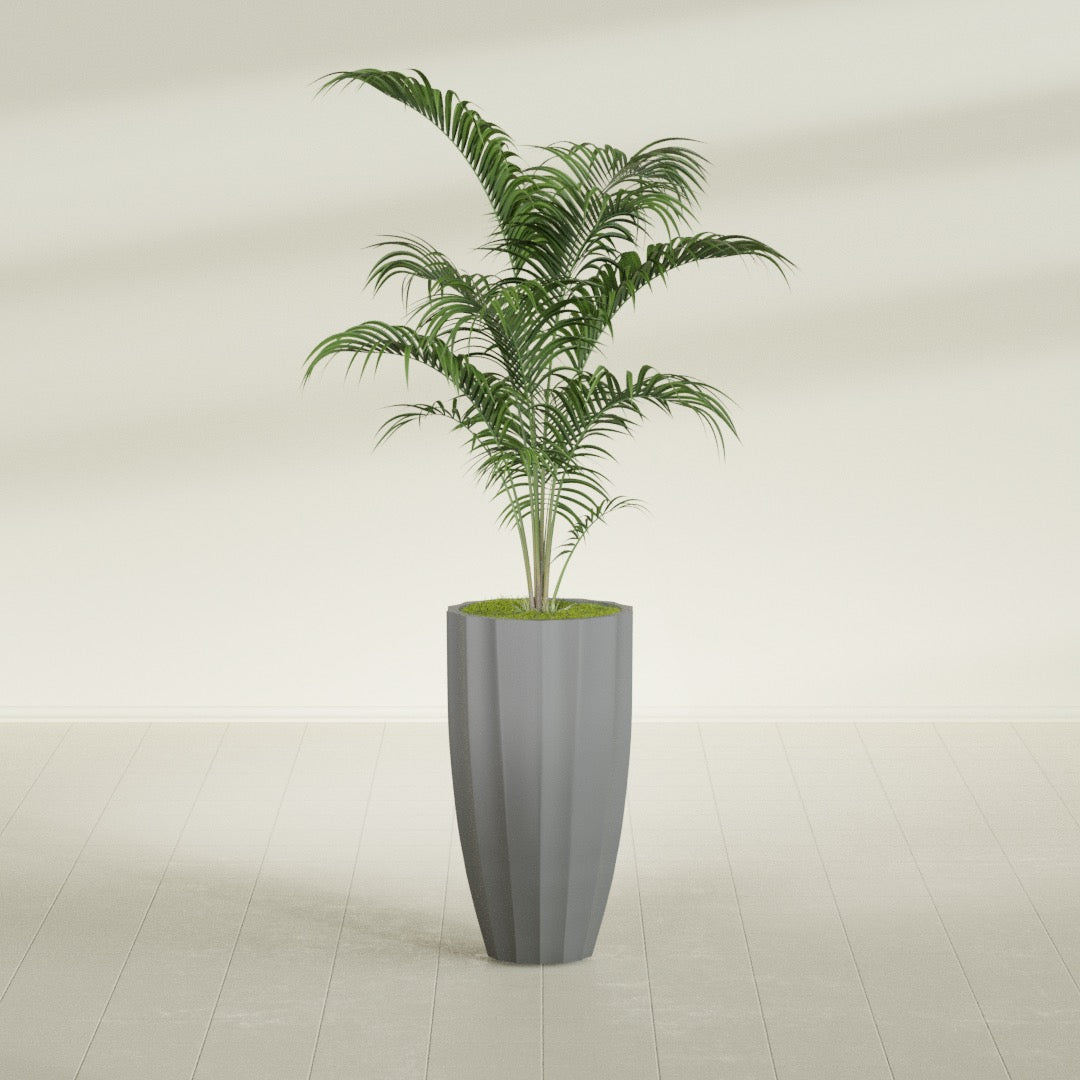San Jose Tall Fluted fiberglass planter in Matte Gunmetal, shown planted, in a sunlit interior