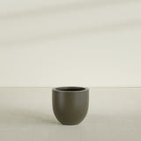 Alzira Bowl Planter in Matte Bronze, 23"D × 22"H, shown empty