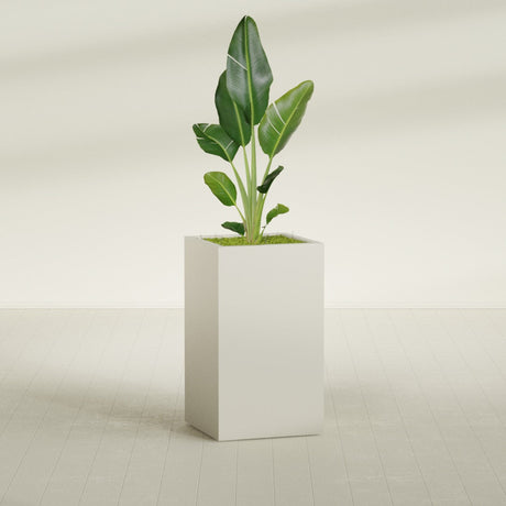 Darwin Corner fiberglass planter in Satin Beige, shown planted, in a sunlit interior