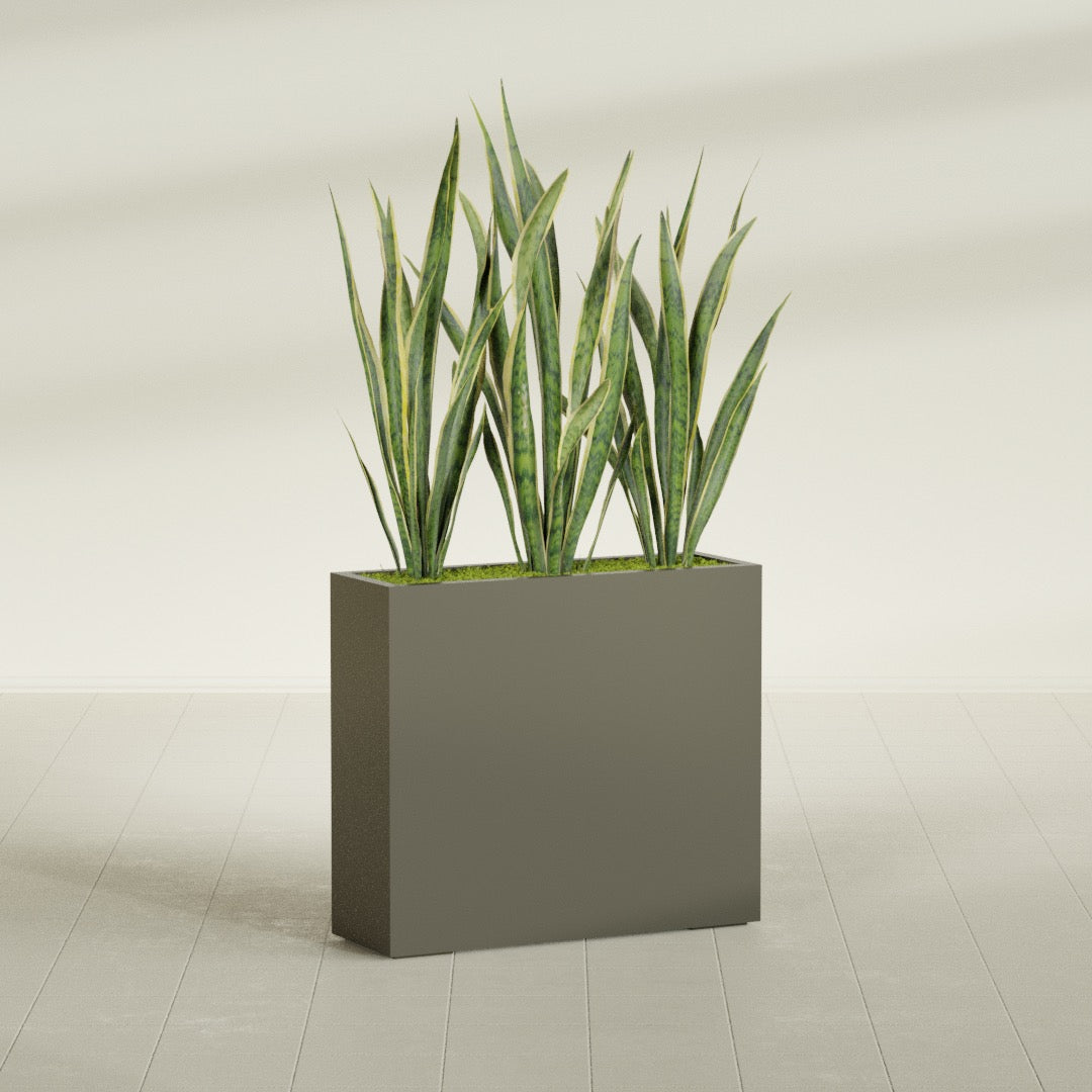 Delray Corner fiberglass planter in Matte Bronze, shown planted, in a sunlit interior
